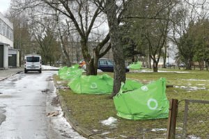 Jau antrus metus kauniečius stebina vaizdai jų kiemuose: šiukšlynas tik didėja, į skundus – jokio atsako