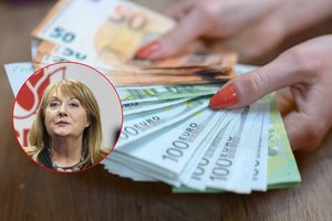 V. Blinkevičiūtė: pelno mokesčio didinimas šiems verslams gali tapti būtinu dalyku