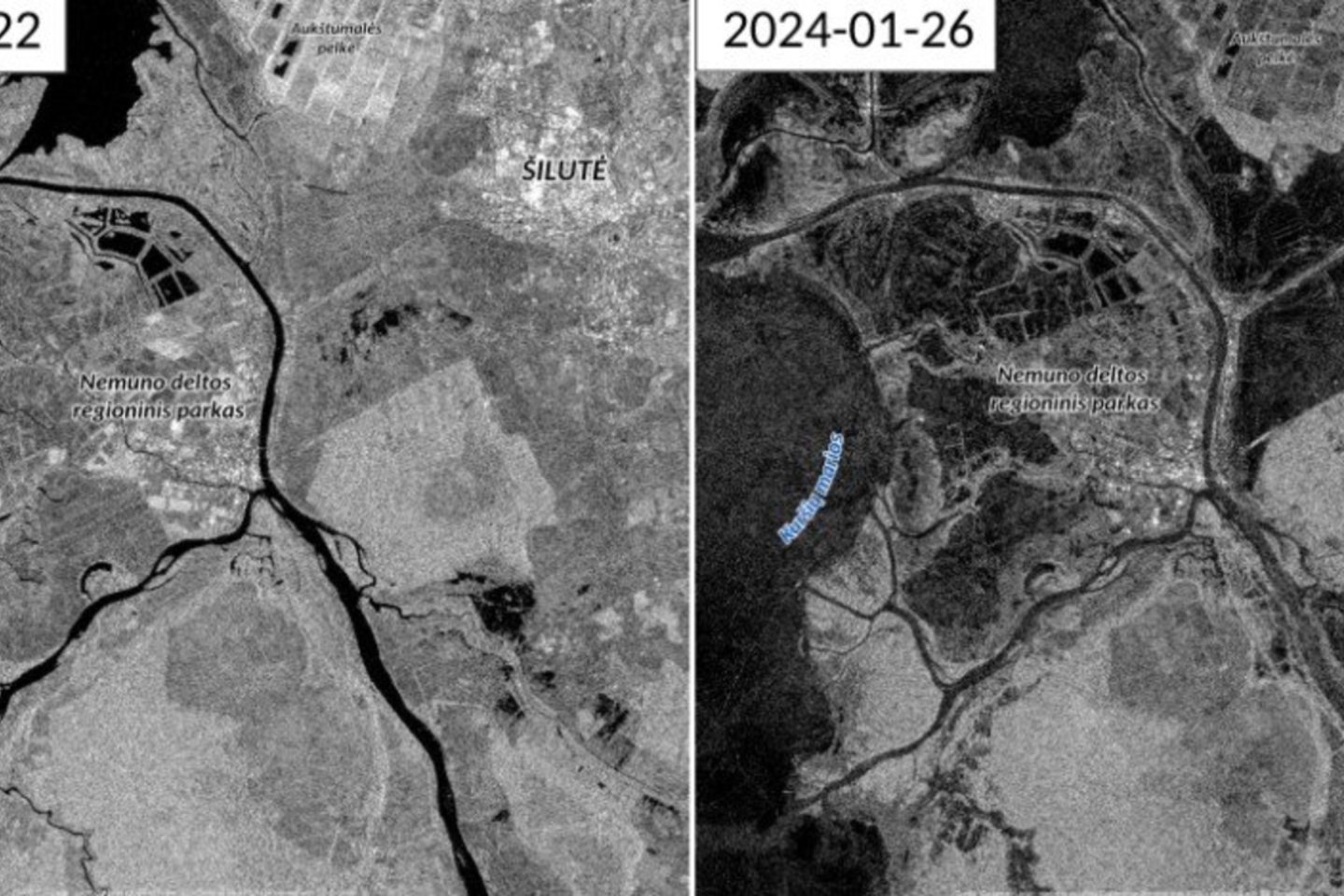 Europos kosmoso agentūros palydovų vaizdai leidžia stebėti, kaip dinamiškai keitėsi apsemtų (nuotraukose – juodų) teritorijų plotas Nemuno deltoje ir Šilutės apylinkėse nuo 2023 m. spalio iki 2024 m. sausio pabaigos: ryškiausiai apsemiama dalis aplink Žalgirių mišką, kur patvinsta Atmatos upė.<br>VU iliustracija. 