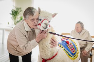 Pirmą kartą Lietuvoje pas senelius užsuko netikėti svečiai: sužavėjo švelnumu ir skanėstų troškimu