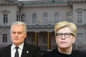 Laukia karšta vasara: G. Nausėdos rankose gali atsidurti daug įrankių I. Šimonytei kankinti