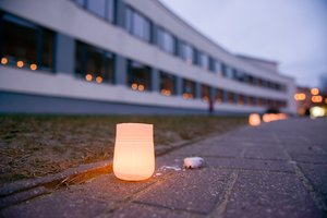 Vilniaus Salomėjos Nėries ir Sofijos Kovalevskajos gimnazijos savivaldybės prašo pakeisti jų pavadinimus