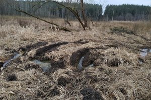 Saugomas teritorijas niokoja keturračių provėžos: primena, kokia atsakomybė už tai laukia