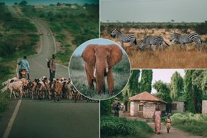 Lietuvė dalinasi įspūdžiais iš Kenijos: geriausios lauktuvės šalies kaimeliuose – miltai