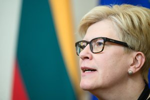 Partijų reitingų lentelėje – ir toliau štilis: lyderiai išlieka tie patys