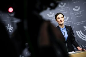 V. Čmilytė-Nielsen apie „Skaidrinam“ tyrimą dėl parlamentinių lėšų: tvarka yra ydinga, būtų galima šių išlaidų atsisakyti