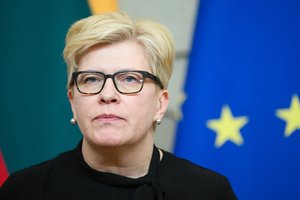 I. Šimonytė: niekas neregistruos naujų pasiūlymų dėl naftos dujų akcizo mažinimo