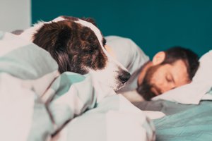 Miegas vienoje lovoje su augintiniu: atskleidė, ar tai nekenkia jūsų ir keturkojo sveikatai