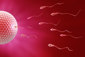 Puikios žinios kovoje su nevaisingumu: rado būdą išjudinti lėtus spermatozoidus