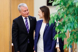 V. Čmilytė-Nielsen teigia, kad A. Skaisgirytės pareiškimai yra antikonstituciniai: nesijaučiu jaunesniąja prezidento seserimi