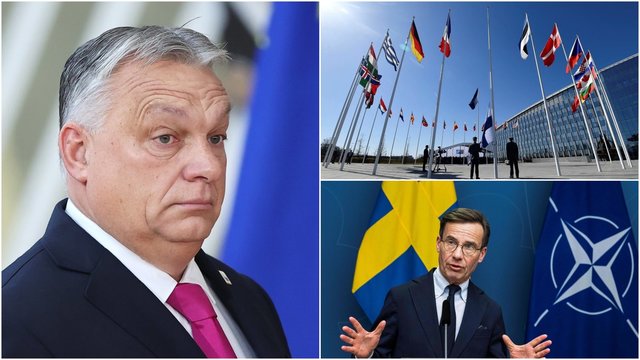 Ateinančią savaitę Vengrija balsuos dėl Švedijos narystės NATO: valdantieji žada palaikyti