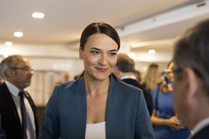 R. Morkūnaitė-Mikulėnienė: gali kilti abejonių dėl J. Džiugelio parlamentinių išlaidų