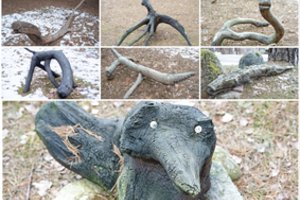 Netikėtų grožybių galerija Panemunės šile – veterinarijos gydytojo nuopelnas