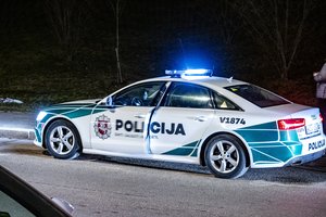 Policijos nelaukęs vairuotojas pats nutupdė kelių gaidelį: šiam gresia baudžiamoji atsakomybė ir teistumas
