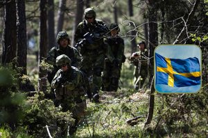 Švedijoje – savanorių antplūdis: „tėčių armiją“ pavertė rimtomis kovinėmis pajėgomis
