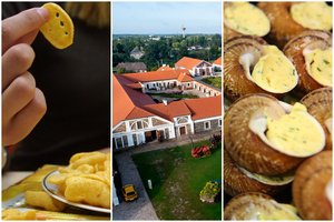 Japonams įtiko ne tik lietuviškos sraigės bei traškučiai: siūlys ir tai, kas gaminama Pakruojo dvare 