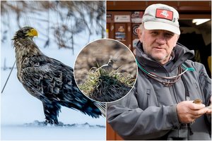 Artėjantį pavasarį jau jaučia ir sparnuočiai: ornitologas papasakojo, kurie jau sugrįžo, o kurie nė neišskrido