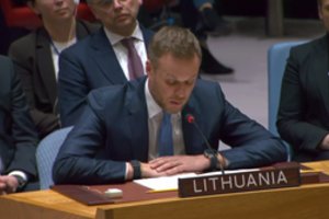 JT Saugumo Taryboje – G. Landsbergio įspėjimas: nesustabdytas Kremlius įžiebs daugiau konfliktų