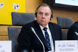 Kritikos dėl pareiškimų apie NATO ir Lietuvos gynybą sulaukęs B. Hodgesas: tai blogiausio scenarijaus atvejis