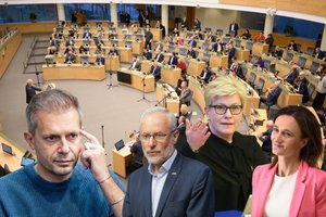 Dabartinio Seimo privirtą košę gali tekti srėbti kitiems: politikai nesutaria, kaip gesinti kilusį gaisrą