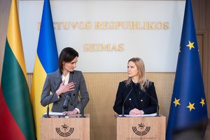 Lietuvoje viešinti Aukščiausios Rados vicepirmininkė: prašau Lietuvos nepripažinti Rusijoje vyksiančių prezidento rinkimų