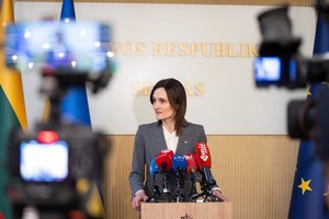 V. Čmilytė-Nielsen: entuziazmo keisti Konstitucijos ir atsisakyti parlamentinių lėšų – nėra