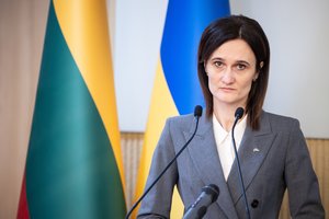 V. Čmilytė-Nielsen ragina B. Hodgeso perspėjimus vertinti rimtai: Lietuva negali pasikliauti tik sąjungininkais