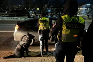 Vilniaus policininkams darbo netrūko: šalyje užsibuvę užsieniečiai, netikras dokumentas ir lakstūnai