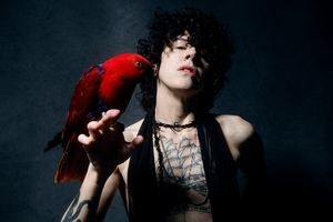 „Žalgirio“ arena paskelbė sprendimą: skandalą sukėlusios atlikėjos LP koncertas atšauktas