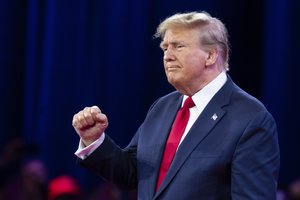 Žiniasklaida: D. Trumpas laimėjo respublikonų pirminius rinkimus Mičigano valstijoje