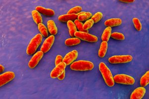 ECDC ataskaita: būtina tęsti priemones, skirtas mažinti bakterijų atsparumui antibiotikams