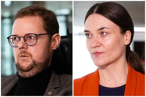 Įvertino sprendimą „suspenduoti“ J. Džiugelio pirmininkavimą Seimo komitetui: jis gali pats paskelbti apie pasitraukimą