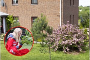 Į pavasarėjantį kiemą – kartu su N. Bunke: 7 esminiai patarimai iš aistringos sodininkės patirties 