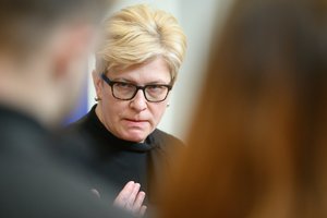 I. Šimonytė apie J. Džiugelio pasitraukimą iš partijos ir frakcijos: nežinau, kiek tai buvo būtina