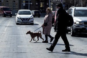 Pirmosios pavasario dienos – itin šiltos: termometrai kops iki 14 laipsnių