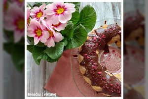 Išskirtinis desertas, kurį norės išmėginti visi – tinginys su šakočiu