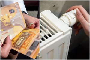 Lietuviams dėl tokių kainų gali pavydėti ir Estija, ir Latvija – štai, kas džiugina