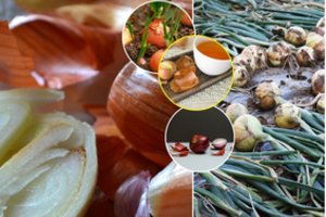 Nuo šiol svogūnų lukštų nebemesite lauk: neįtikėtina – jie gali būti naudingesni net už pačius svogūnus