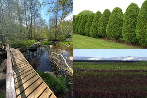 7 išskirtiniai objektai pajūryje: pasiklysite unikaliame labirinte ir pasijusite lyg Šveicarijoje