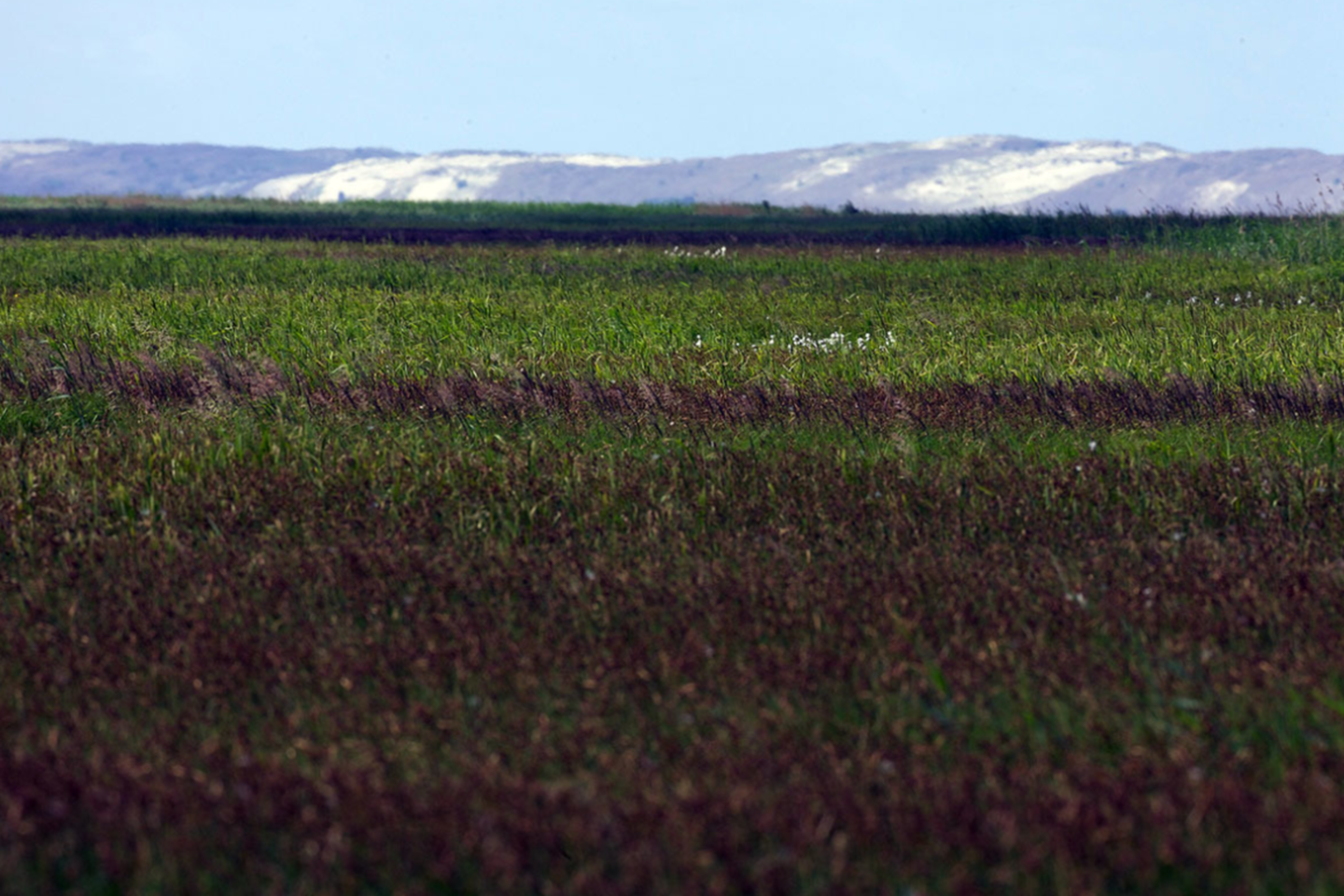 Tyrų pelkės pažintinis takas.<br>Klaipėdos rajono turizmo informacijos centro nuotr.
