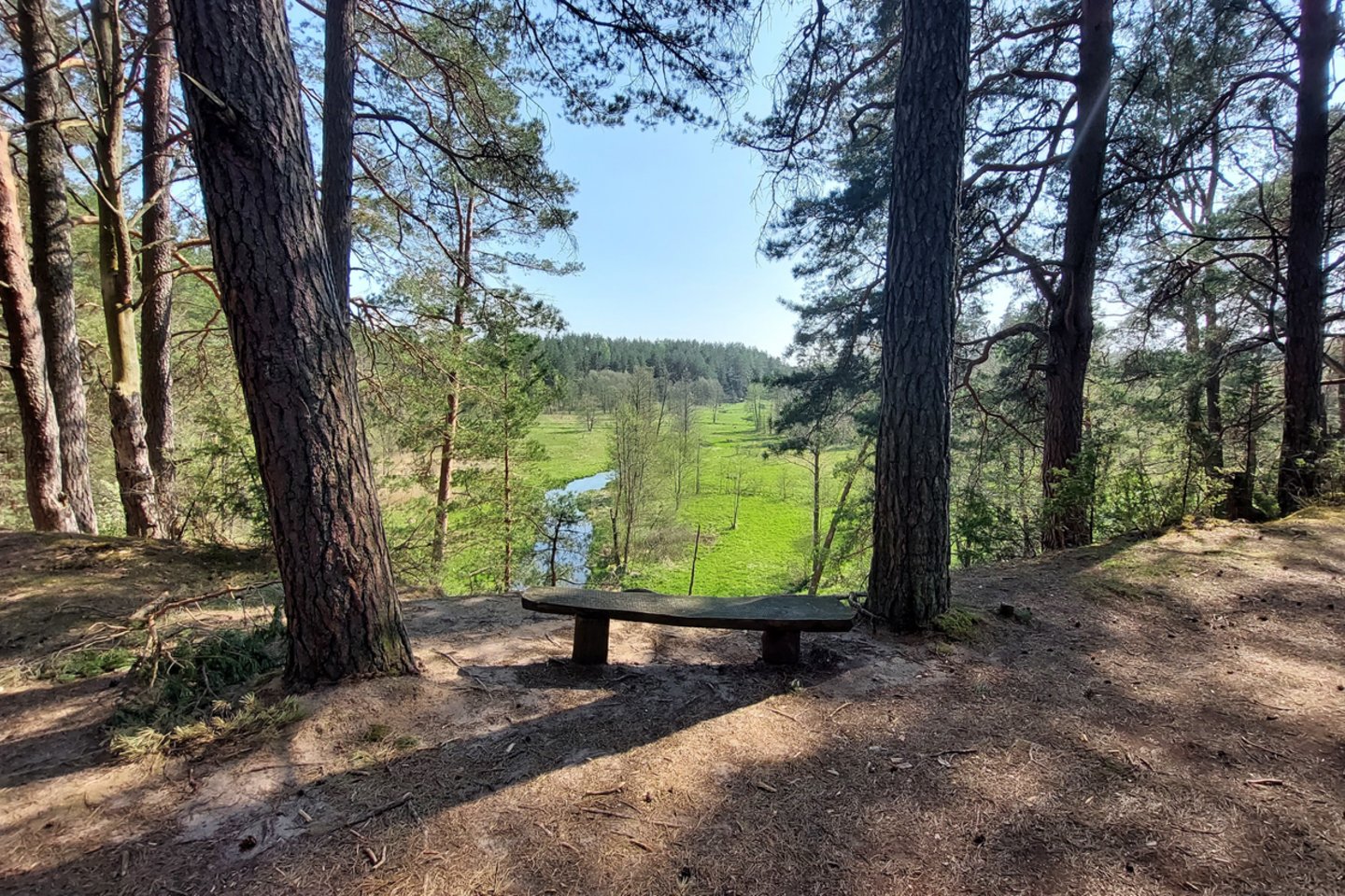 Zackagirio pažintiniame take – Šaudyklos kalnas.<br>Simonos Balčaitės nuotr.