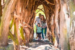 Druskininkai pretenduoja tapti šeimų kurortu: daugelio pramogų nė nežinote