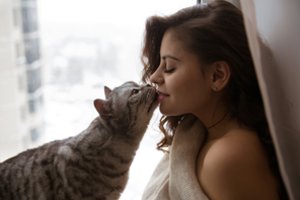 10 požymių, kad katė yra pamišusi dėl jūsų