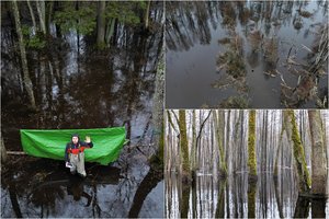 Naktis potvynio apsemtame miške ir nakvynė hamake: lietuvio mokslininko išvykos abejingų nepalieka