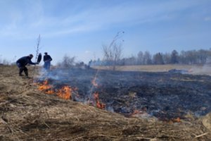 Kasmetinė beprotybė prasideda: degančios pernykštės žolės gesinti jau važinėjantys ugniagesiai grasina baudomis