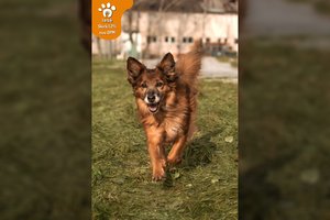 Kaip pasakoje prasidėjęs Majos gyvenimas – pilnas iššūkių ir netikėtų posūkių: turi vienintelį troškimą