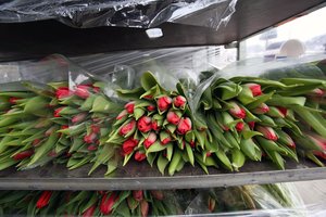 Priekabą gėlių pristatęs vyras tokios moters reakcijos nesitikėjo: „Ausis suglaudęs laukiau, kol iškraus visas“