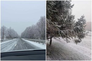 Tikras orų pokštas: dalyje Lietuvos žemę nubalino sniegas