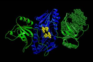 Lietuvė mokslininkė apie baltymų struktūras, jų grožį ir tai, kodėl mokslininkams naudinga bendradarbiauti su menininkais