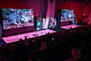 Specialistai ieško būdų, kaip didinti moksleivių motyvaciją mokytis: siūlo taikyti žaidimo taisykles